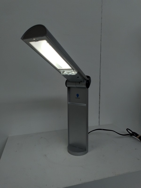 Daylight D/E33707 - draagbare lamp